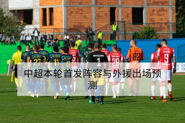 网球大满贯赛后发球一发得分率统计查询