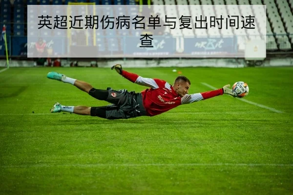 网球大满贯赛后发球一发得分率统计查询